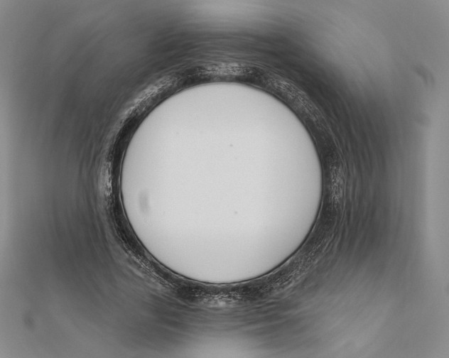 X0000112020731200908311154