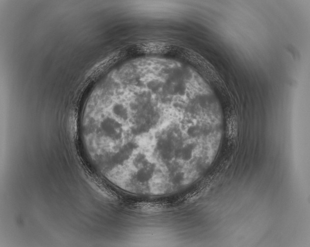 X0000112020733200908311154