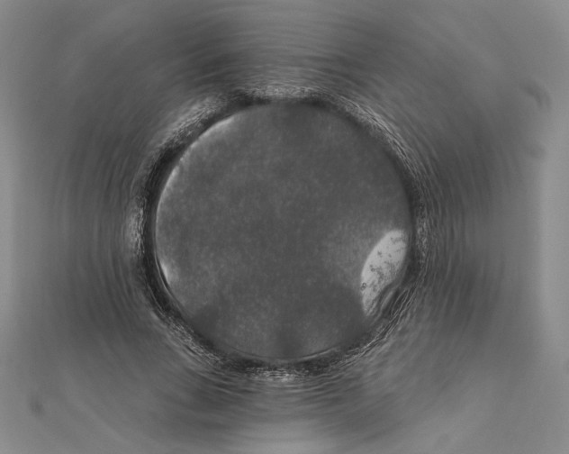 X0000112020735200908311154