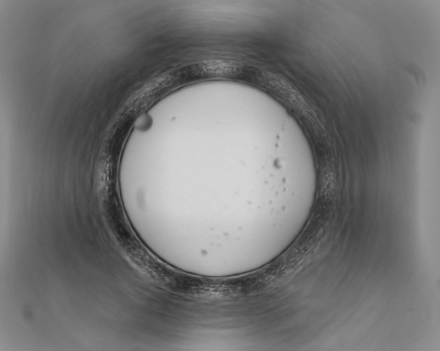 X0000112020736200908311154