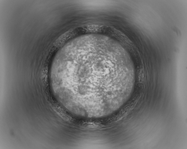 X0000112020737200908311154