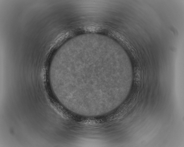 X0000112020738200908311154