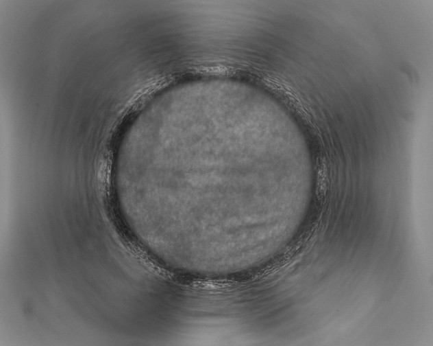 X0000112020739200908311154