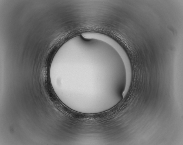 X0000112020740200908311154