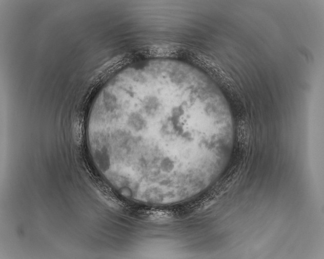 X0000112020741200908311154