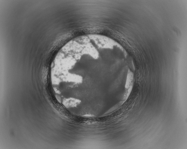 X0000112020742200908311154