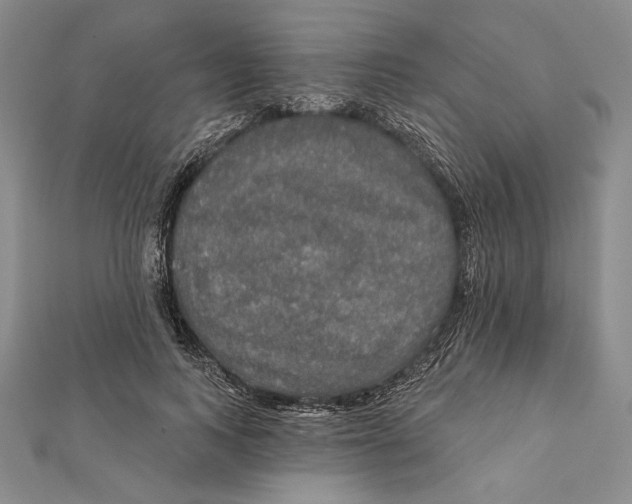 X0000112020743200908311154