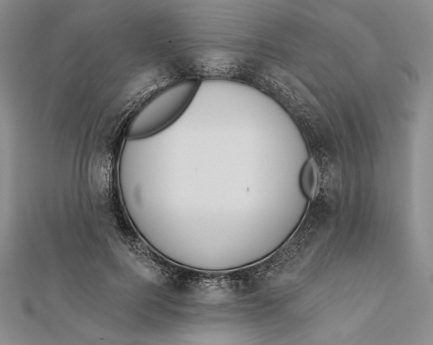 X0000112020744200908311154