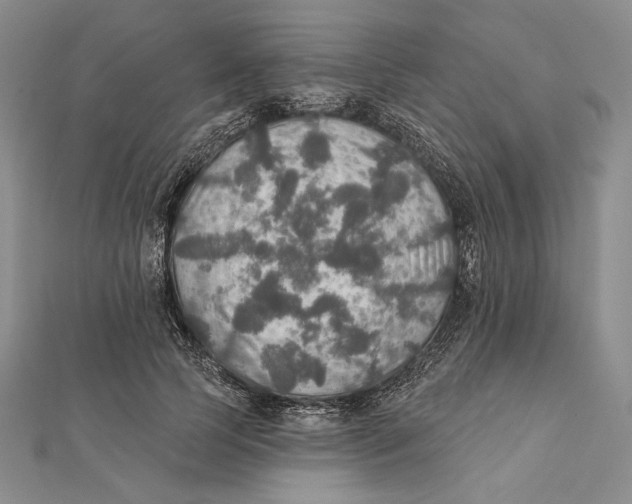 X0000112020745200908311154