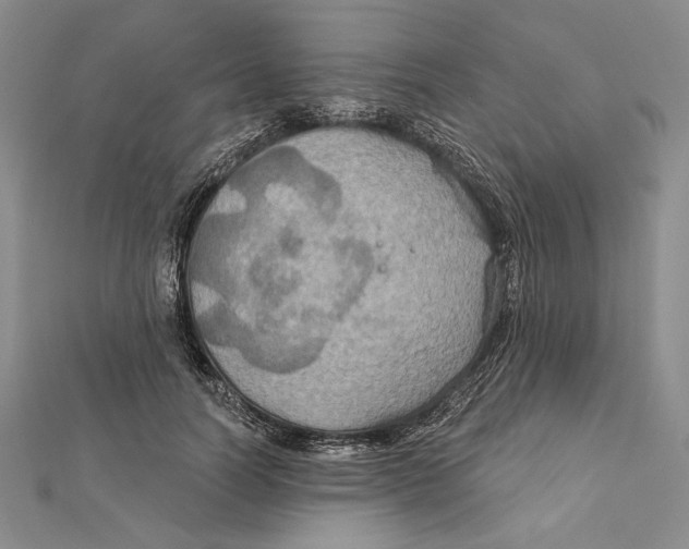 X0000112020746200908311154