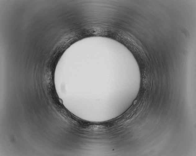 X0000112020748200908311154