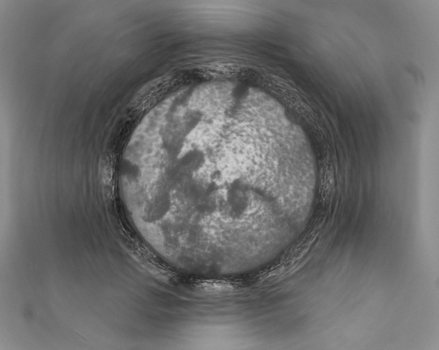 X0000112020749200908311154