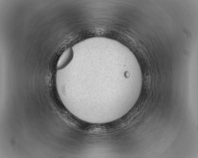 X0000112020750200908311154