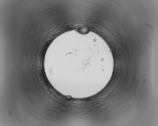 X0000112020751200908311154