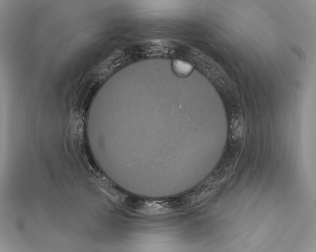 X0000112020753200908311154