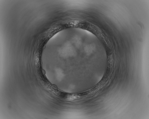 X0000112020754200908311154