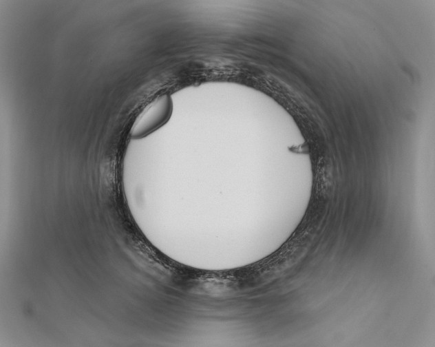 X0000112020756200908311154