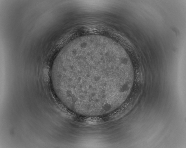 X0000112020757200908311154