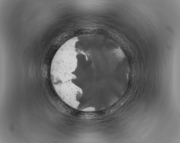 X0000112020758200908311154