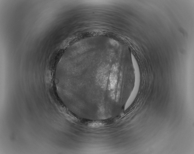 X0000112020759200908311154