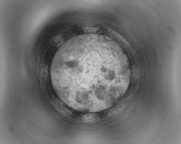 X0000112020761200908311154