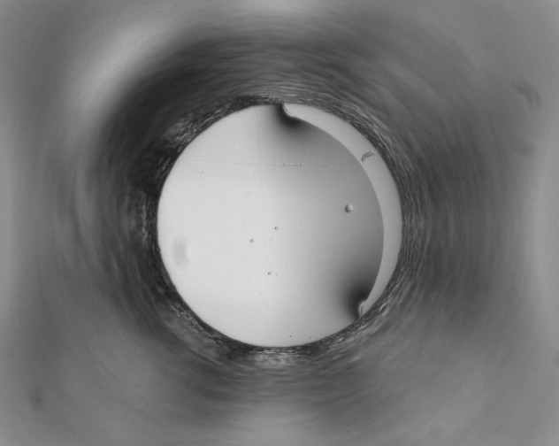 X0000112020762200908311154