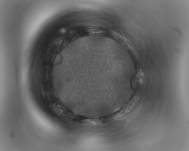 X0000112020763200908311154