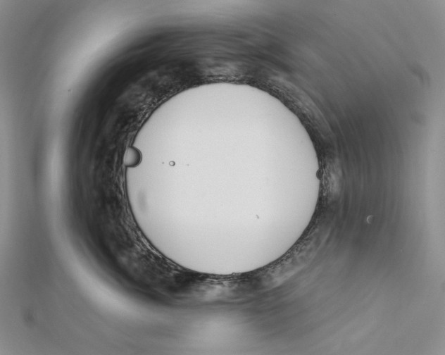 X0000112020764200908311154