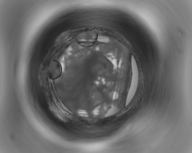 X0000112020765200908311154