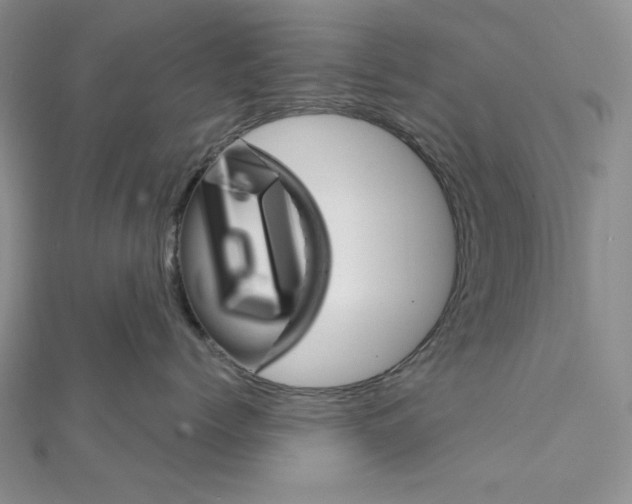 X0000112020768200908311154