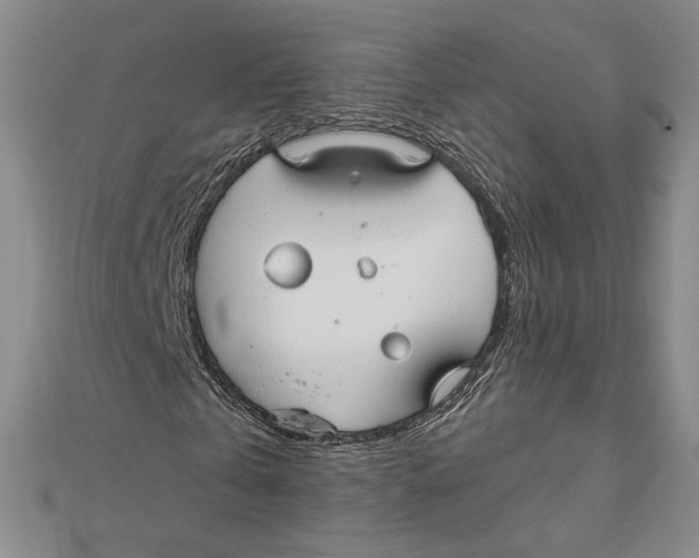 X0000112020769200908311154