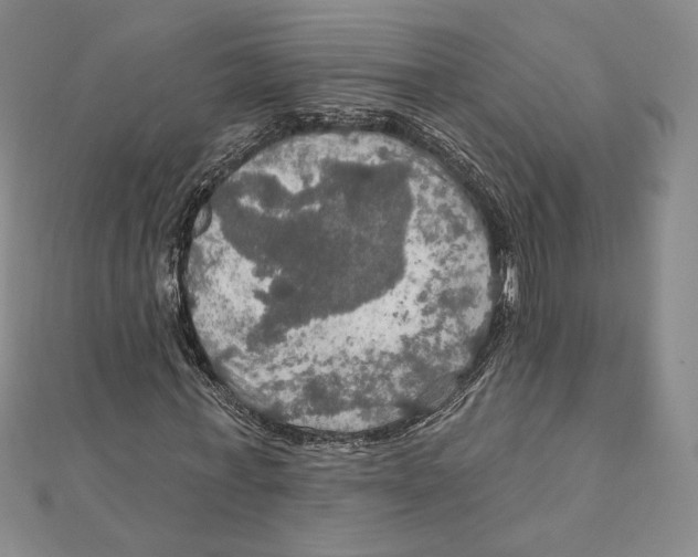 X0000112020771200908311154