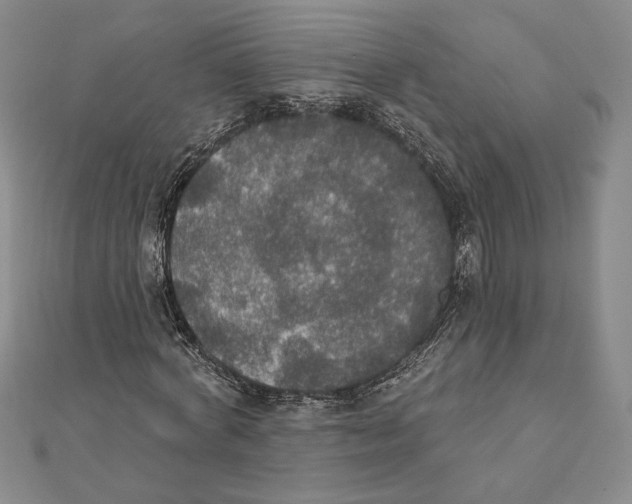 X0000112020772200908311154