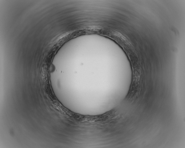 X0000112020773200908311154