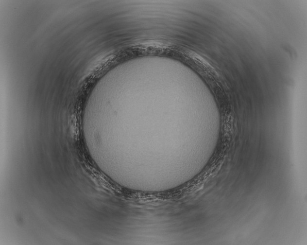 X0000112020774200908311154