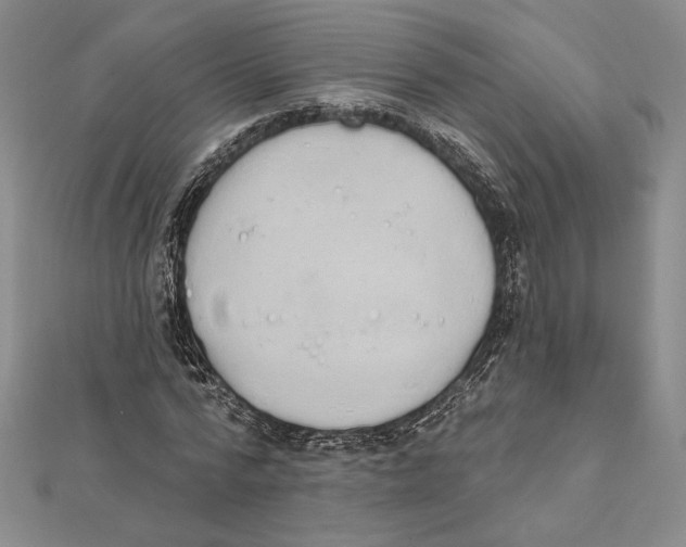 X0000112020776200908311154