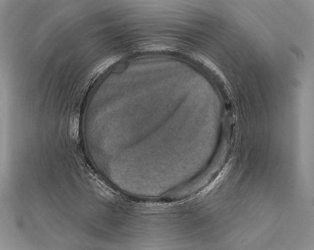 X0000112020777200908311154