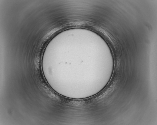 X0000112020778200908311153