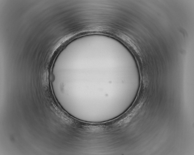 X0000112020781200908311153