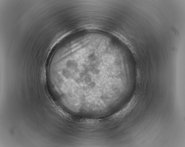 X0000112020782200908311153