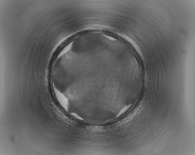 X0000112020783200908311153