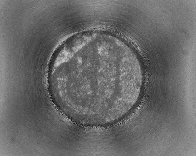 X0000112020784200908311153