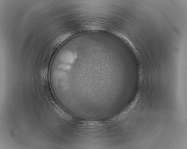 X0000112020785200908311153