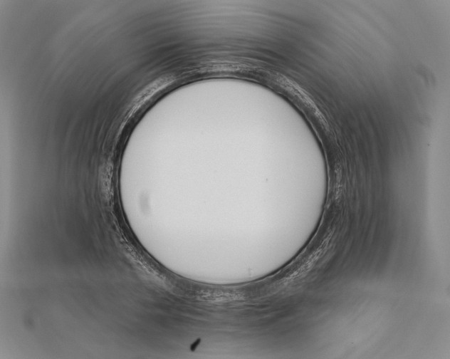 X0000112020786200908311153