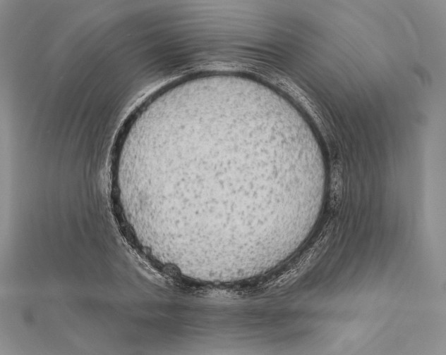 X0000112020787200908311153