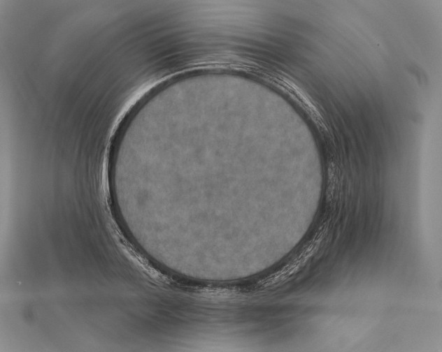 X0000112020788200908311153