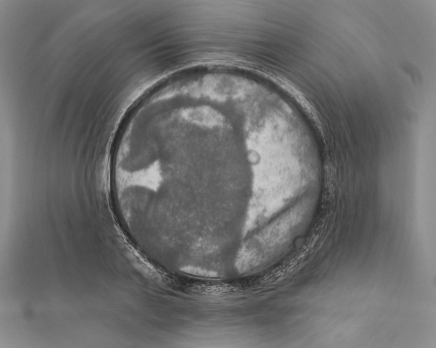 X0000112020791200908311153