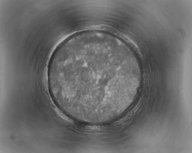 X0000112020792200908311153