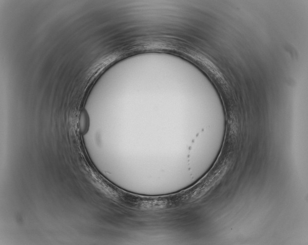 X0000112020793200908311153