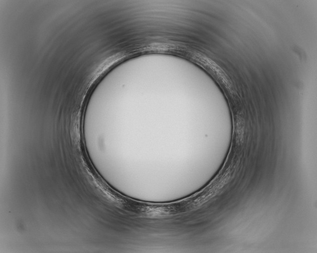 X0000112020794200908311153